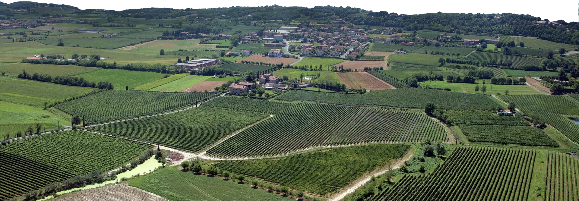panorama.webp